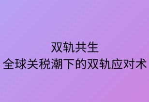 柔韌共生：全球關(guān)稅潮下的雙軌應對術(shù)