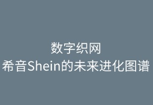 數(shù)字織網(wǎng)：SHEIN的未來進化圖譜
