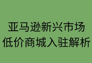 亞馬遜新興低價(jià)商城入駐條件解析