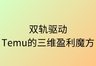 雙軌驅(qū)動：Temu的三維盈利魔方